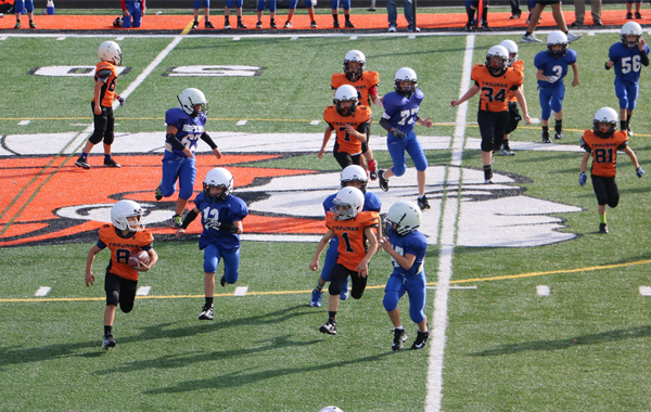 The Orange & Black Attack!!!